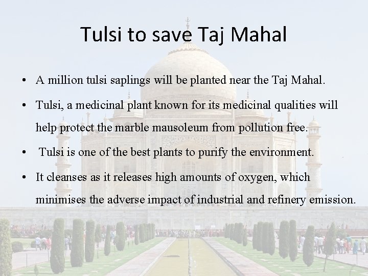 Tulsi to save Taj Mahal • A million tulsi saplings will be planted near