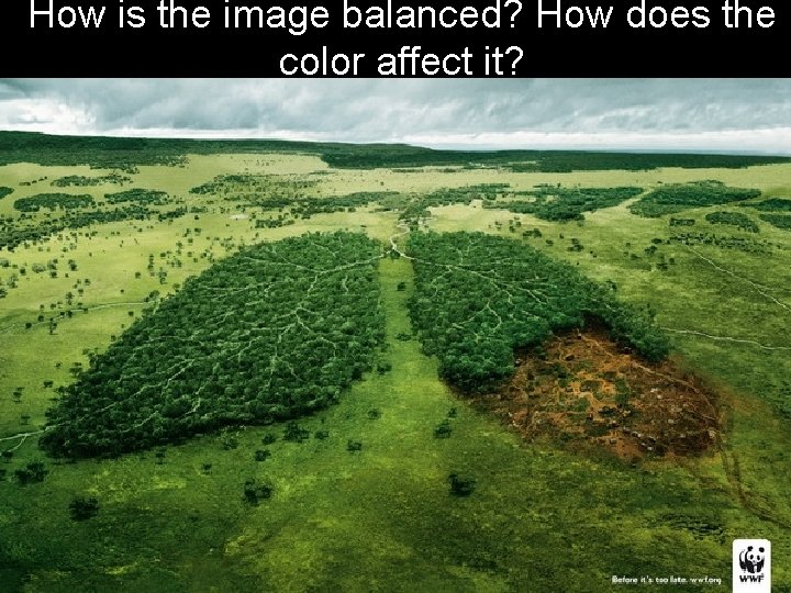 How is the image balanced? How does the color affect it? 