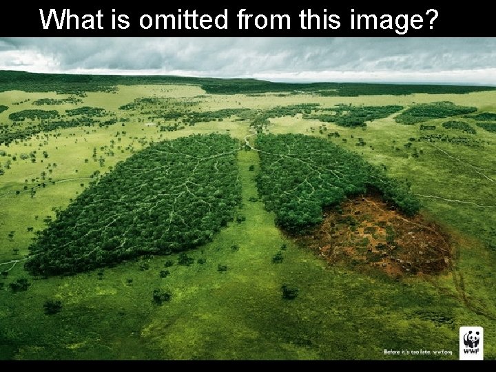 What is omitted from this image? 
