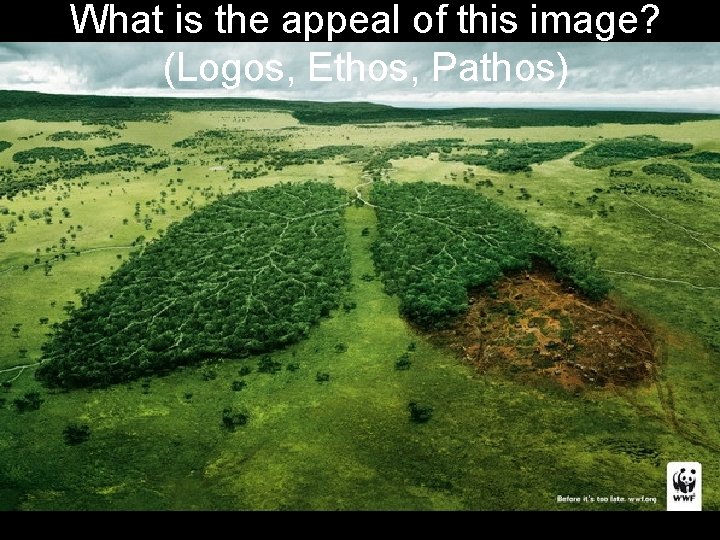 What is the appeal of this image? (Logos, Ethos, Pathos) 