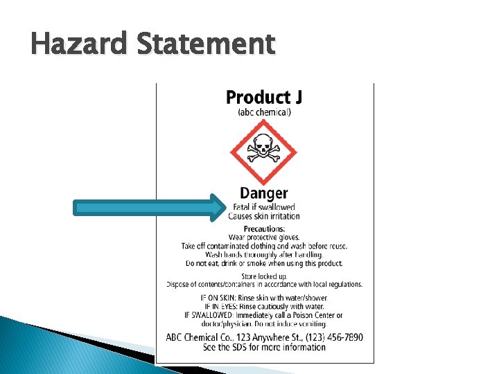 Hazard Statement 