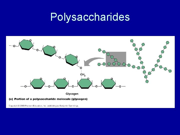 Polysaccharides 