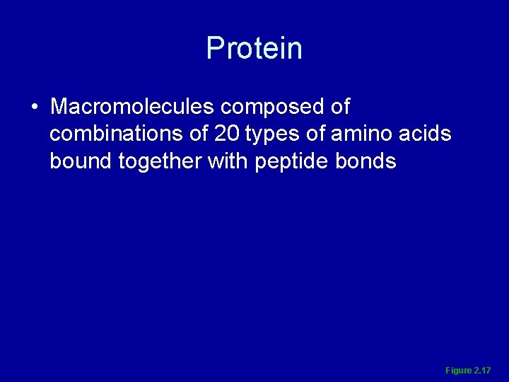 Protein • Macromolecules composed of combinations of 20 types of amino acids bound together