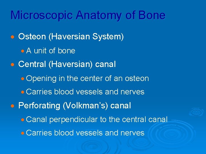 Microscopic Anatomy of Bone · Osteon (Haversian System) · A unit of bone ·