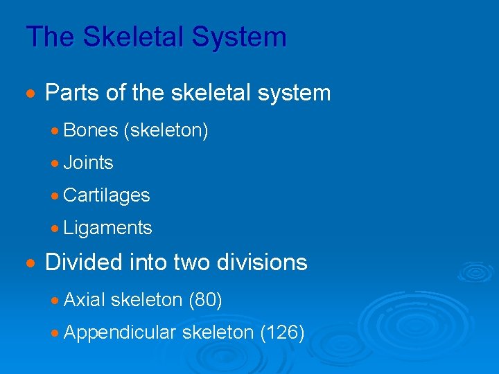 The Skeletal System · Parts of the skeletal system · Bones (skeleton) · Joints