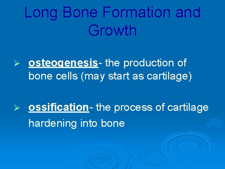 Long Bone Formation and Growth Ø osteogenesis- the production of bone cells (may start