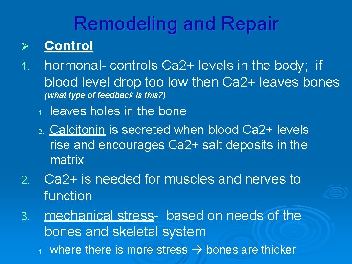 Remodeling and Repair Control 1. hormonal- controls Ca 2+ levels in the body; if