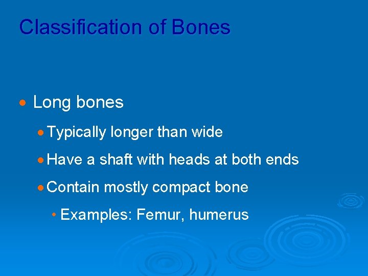 Classification of Bones · Long bones · Typically longer than wide · Have a