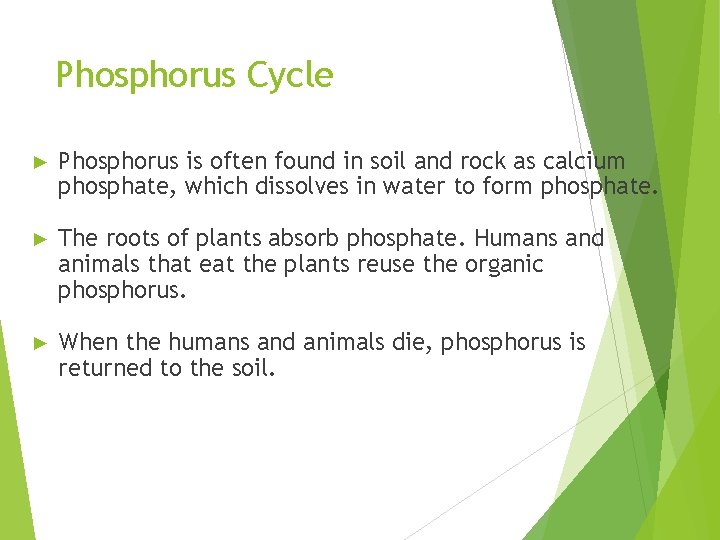 Phosphorus Cycle ► Phosphorus is often found in soil and rock as calcium phosphate,