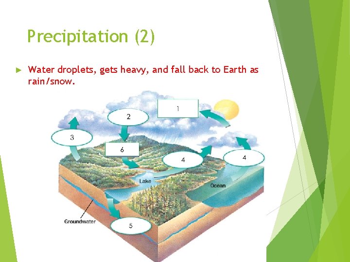 Precipitation (2) ► Water droplets, gets heavy, and fall back to Earth as rain/snow.