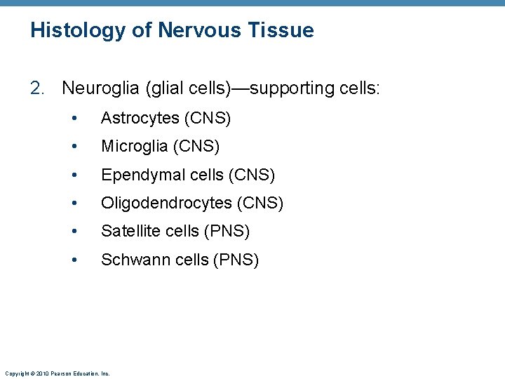 Histology of Nervous Tissue 2. Neuroglia (glial cells)—supporting cells: • Astrocytes (CNS) • Microglia