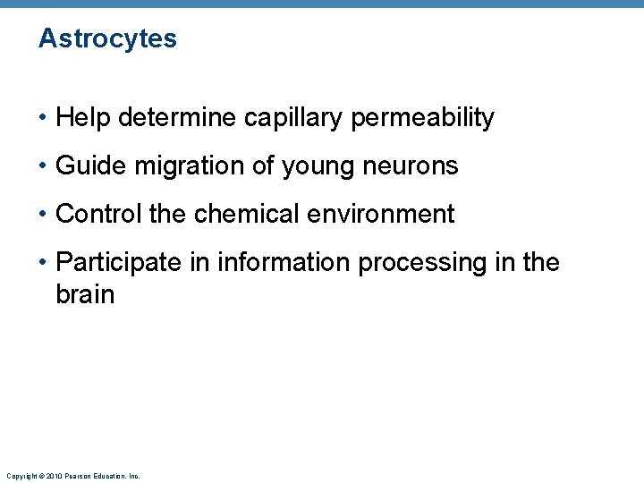 Astrocytes • Help determine capillary permeability • Guide migration of young neurons • Control