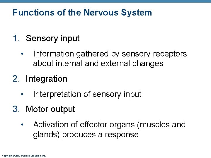 Functions of the Nervous System 1. Sensory input • Information gathered by sensory receptors