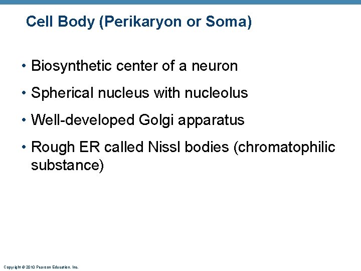 Cell Body (Perikaryon or Soma) • Biosynthetic center of a neuron • Spherical nucleus