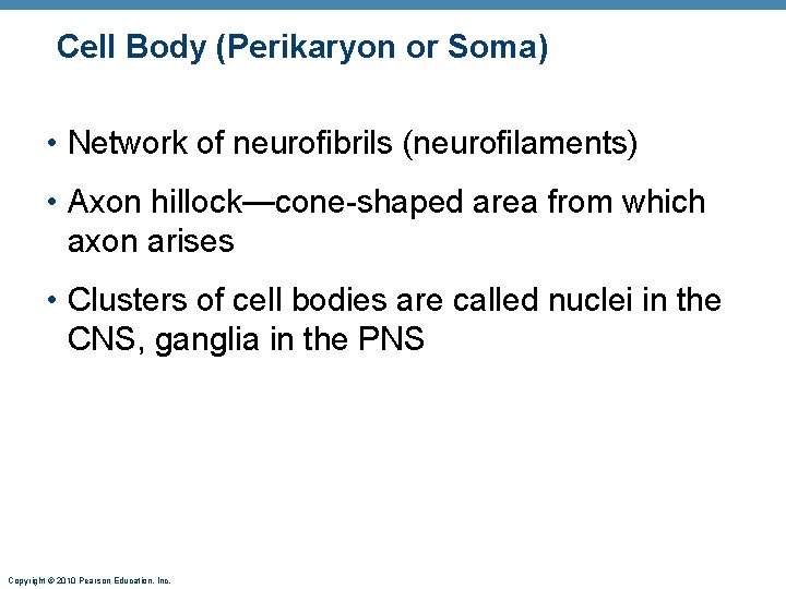 Cell Body (Perikaryon or Soma) • Network of neurofibrils (neurofilaments) • Axon hillock—cone-shaped area