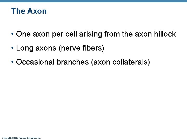 The Axon • One axon per cell arising from the axon hillock • Long