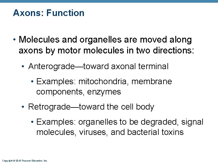 Axons: Function • Molecules and organelles are moved along axons by motor molecules in