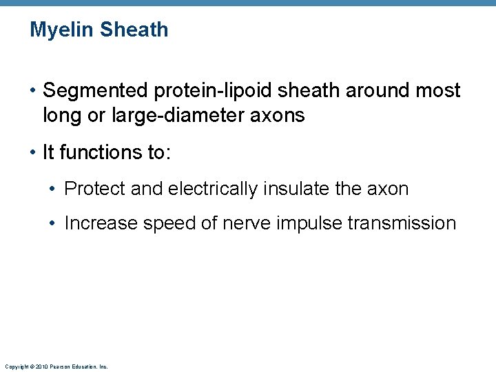 Myelin Sheath • Segmented protein-lipoid sheath around most long or large-diameter axons • It