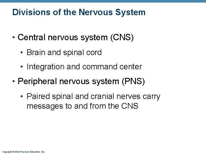 Divisions of the Nervous System • Central nervous system (CNS) • Brain and spinal