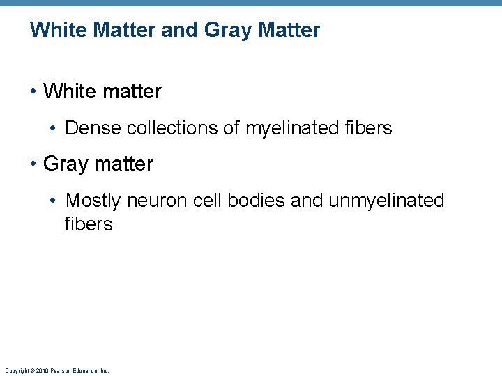 White Matter and Gray Matter • White matter • Dense collections of myelinated fibers