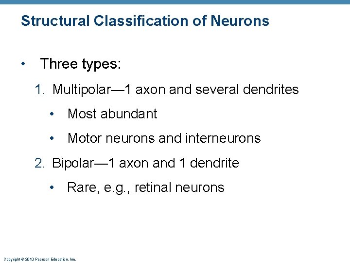 Structural Classification of Neurons • Three types: 1. Multipolar— 1 axon and several dendrites