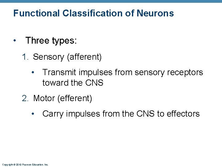 Functional Classification of Neurons • Three types: 1. Sensory (afferent) • Transmit impulses from
