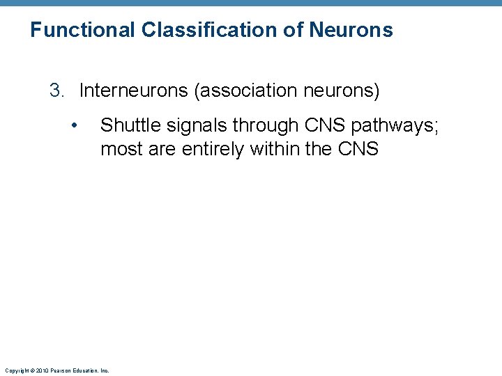 Functional Classification of Neurons 3. Interneurons (association neurons) • Shuttle signals through CNS pathways;