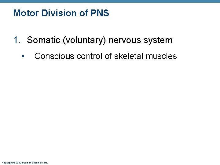 Motor Division of PNS 1. Somatic (voluntary) nervous system • Conscious control of skeletal