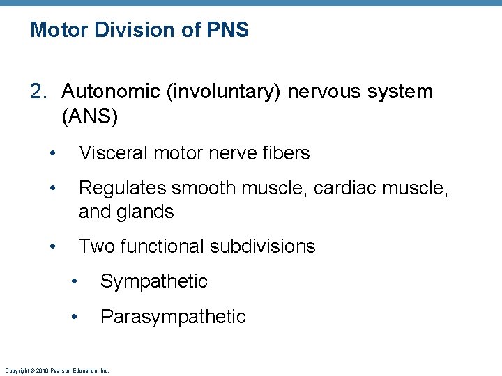 Motor Division of PNS 2. Autonomic (involuntary) nervous system (ANS) • Visceral motor nerve