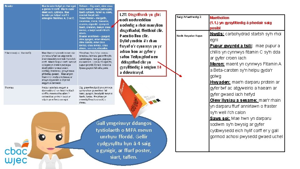 L 2 T: Disgrifiwch yn glir: nodi nodweddion nodedig a rhoi manylion disgrifiadol, ffeithiol