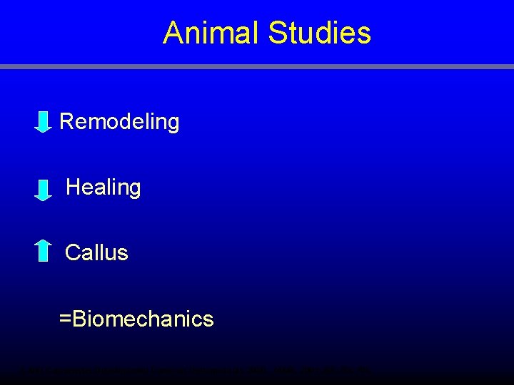 Animal Studies Remodeling Healing Callus =Biomechanics 1. NIH Consensus Development Panel on Osteoporosis 2000.