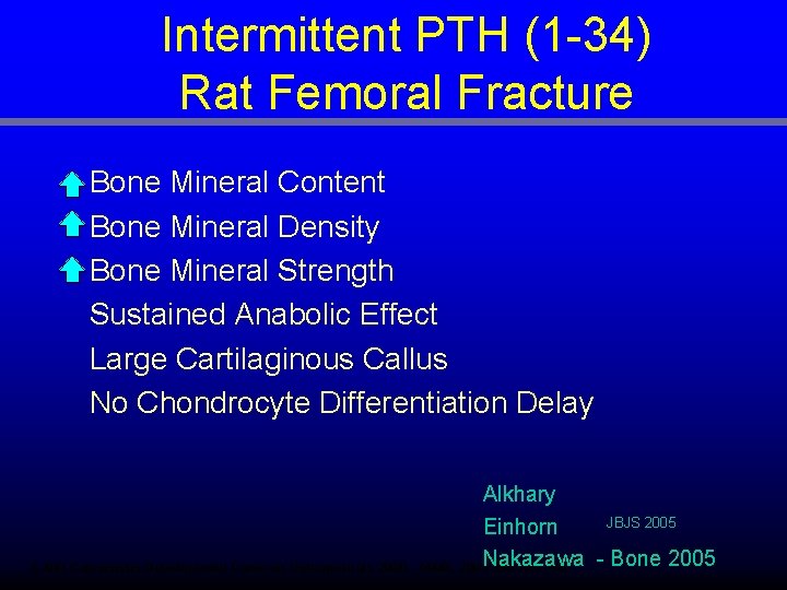 Intermittent PTH (1 -34) Rat Femoral Fracture Bone Mineral Content Bone Mineral Density Bone