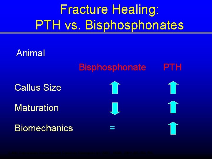 Fracture Healing: PTH vs. Bisphonates Animal Bisphonate Callus Size Maturation Biomechanics = 1. NIH