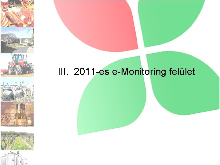 III. 2011 -es e-Monitoring felület 