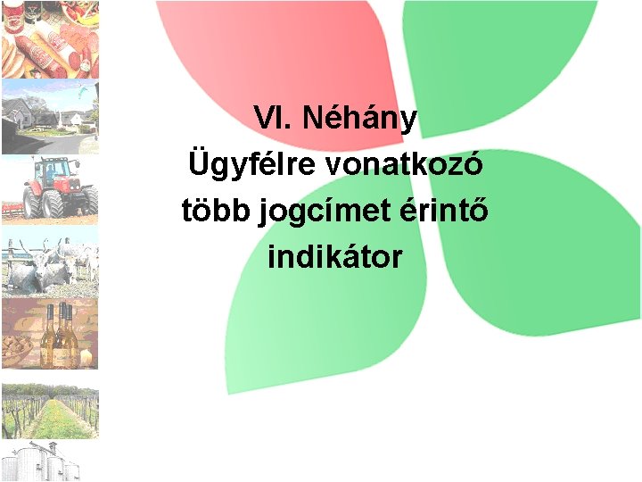 VI. Néhány Ügyfélre vonatkozó több jogcímet érintő indikátor 