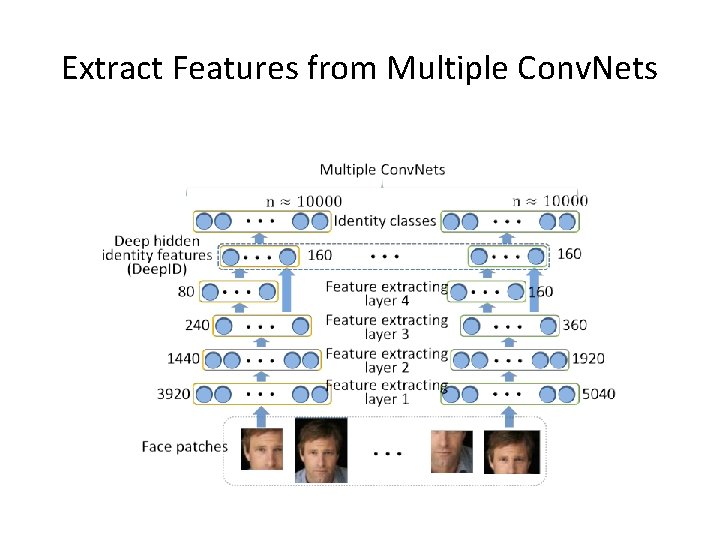 Extract Features from Multiple Conv. Nets 