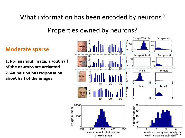 What information has been encoded by neurons? Properties owned by neurons? Moderate sparse 1.