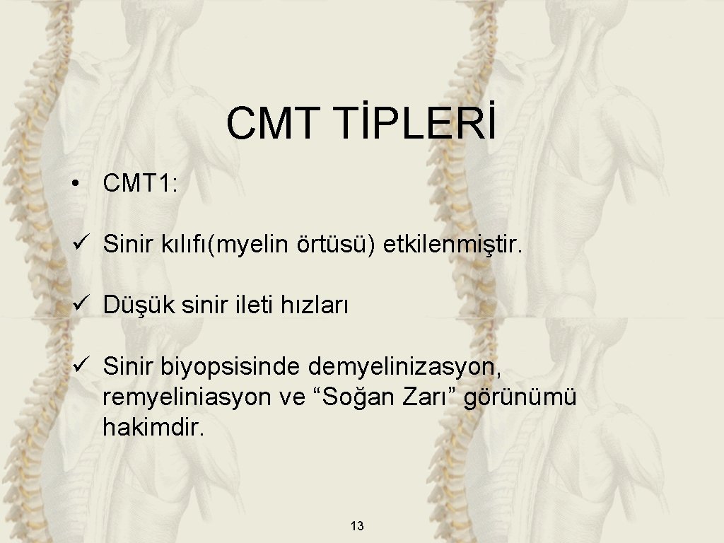 CMT TİPLERİ • CMT 1: ü Sinir kılıfı(myelin örtüsü) etkilenmiştir. ü Düşük sinir ileti