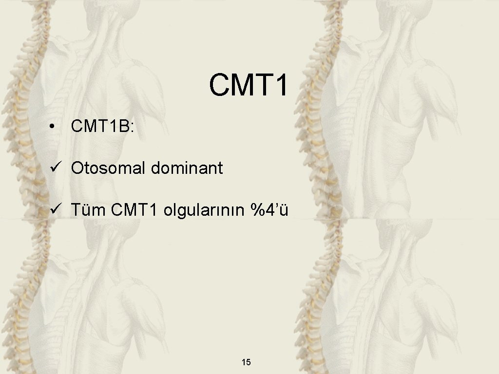 CMT 1 • CMT 1 B: ü Otosomal dominant ü Tüm CMT 1 olgularının
