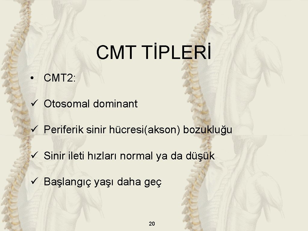 CMT TİPLERİ • CMT 2: ü Otosomal dominant ü Periferik sinir hücresi(akson) bozukluğu ü