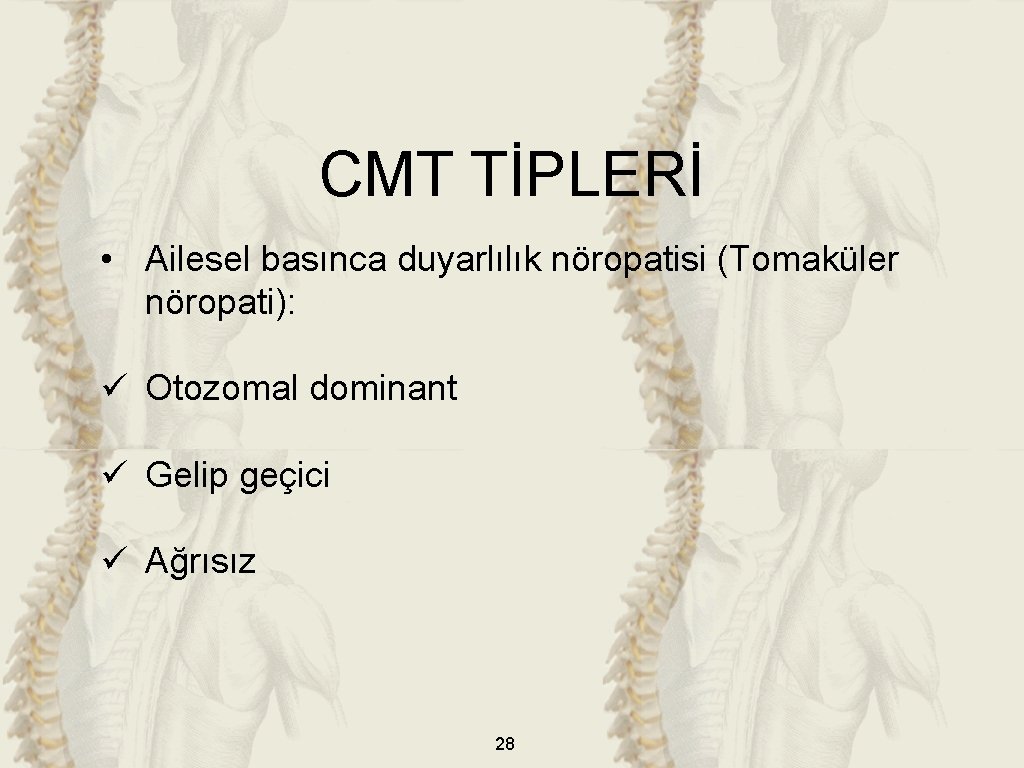 CMT TİPLERİ • Ailesel basınca duyarlılık nöropatisi (Tomaküler nöropati): ü Otozomal dominant ü Gelip