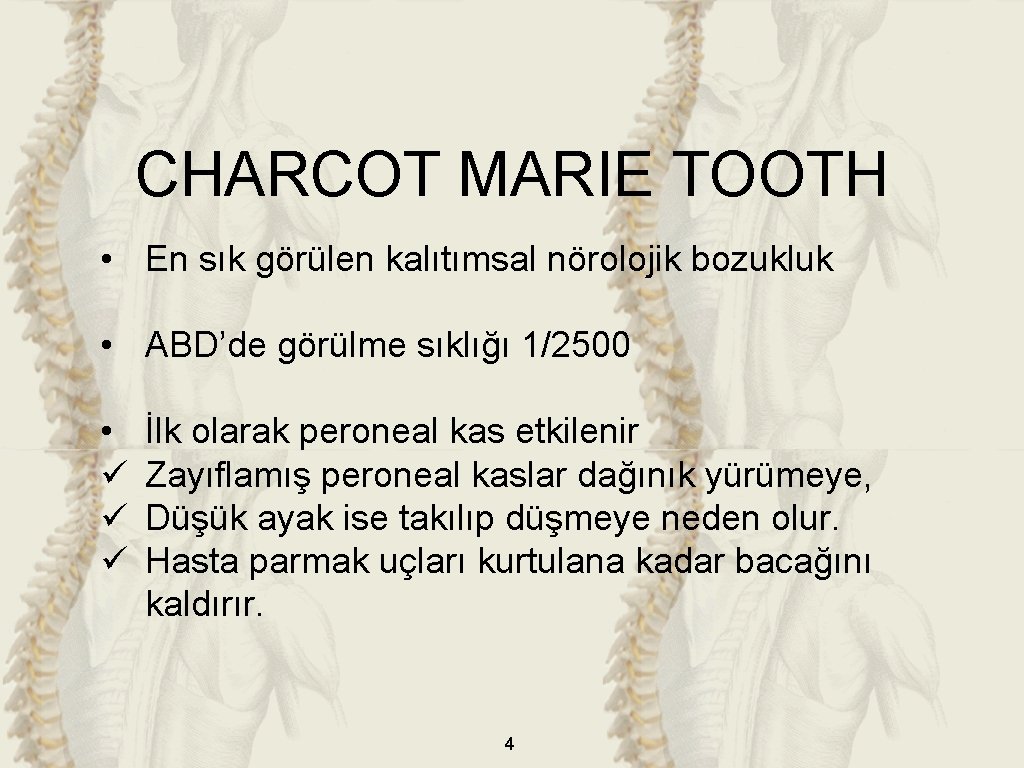 CHARCOT MARIE TOOTH • En sık görülen kalıtımsal nörolojik bozukluk • ABD’de görülme sıklığı
