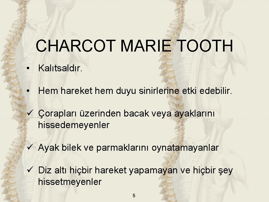 CHARCOT MARIE TOOTH • Kalıtsaldır. • Hem hareket hem duyu sinirlerine etki edebilir. ü