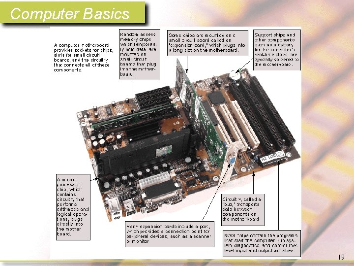 Computer Basics 19 