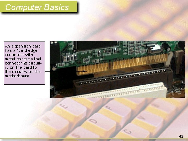 Computer Basics 42 