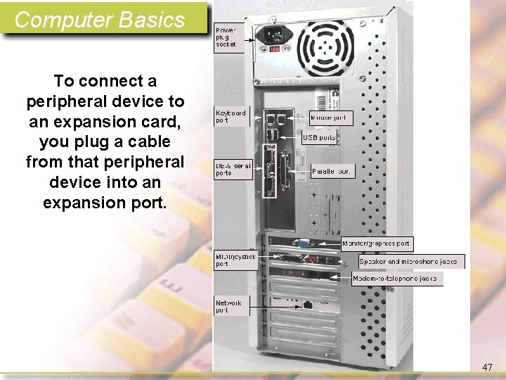 Computer Basics To connect a peripheral device to an expansion card, you plug a