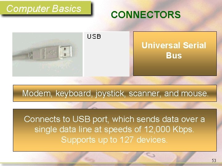 Computer Basics CONNECTORS Universal Serial Bus Modem, keyboard, joystick, scanner, and mouse. Connects to