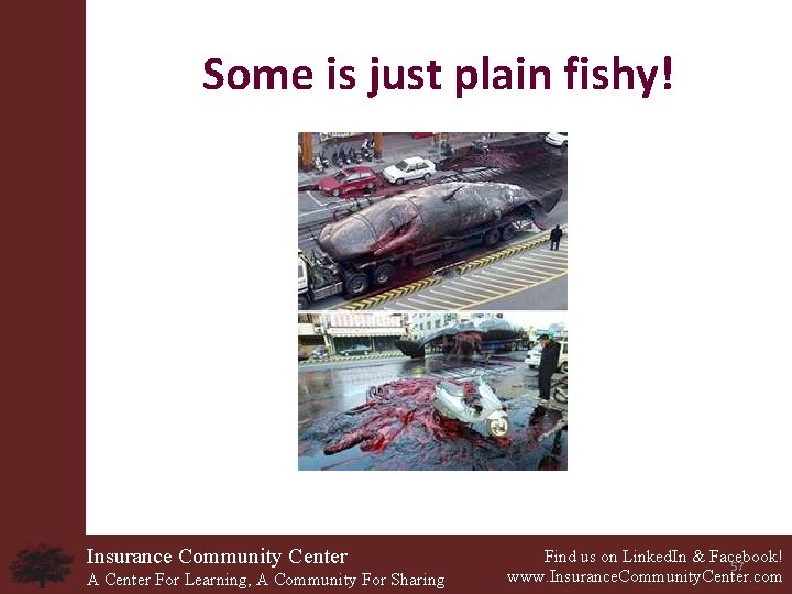 Some is just plain fishy! Insurance Community Center A Center For Learning, A Community