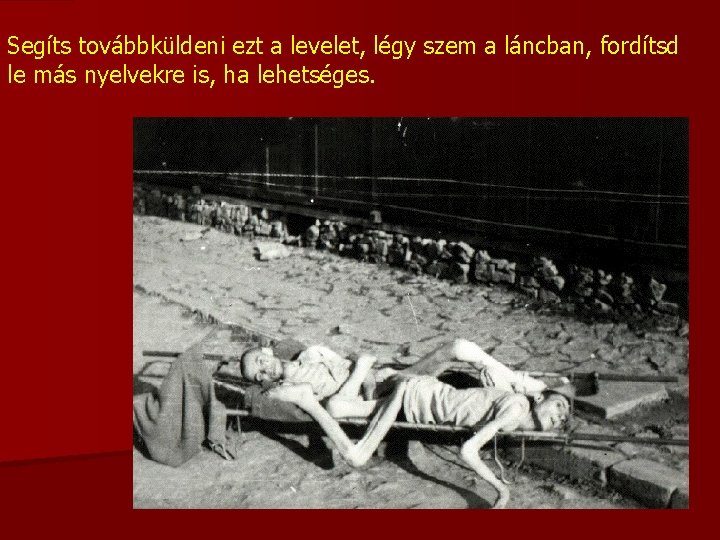 Segíts továbbküldeni ezt a levelet, légy szem a láncban, fordítsd le más nyelvekre is,