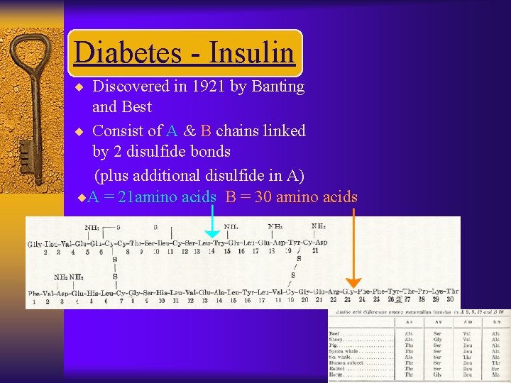 Diabetes - Insulin ¨ Discovered in 1921 by Banting ~ and Best ¨ Consist